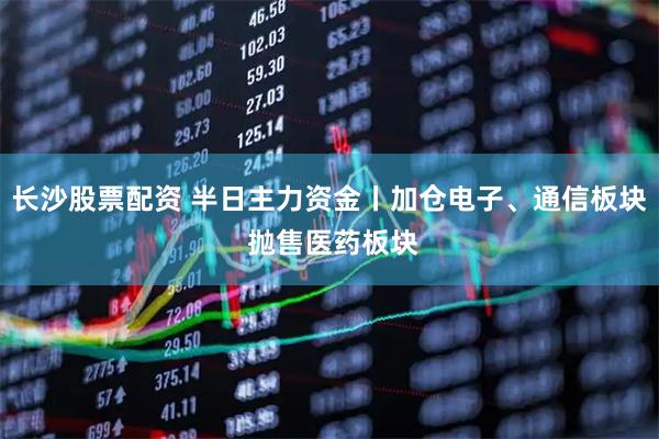 长沙股票配资 半日主力资金丨加仓电子、通信板块 抛售医药板块